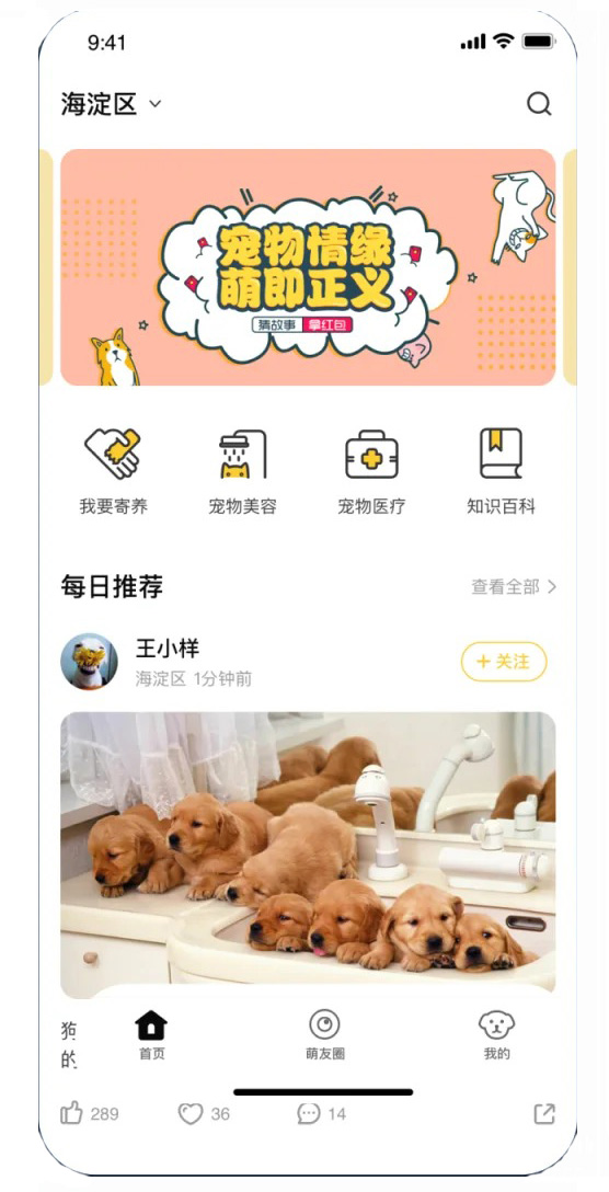 寵物送養(yǎng)領(lǐng)養(yǎng)小程序平臺怎么開發(fā)制作